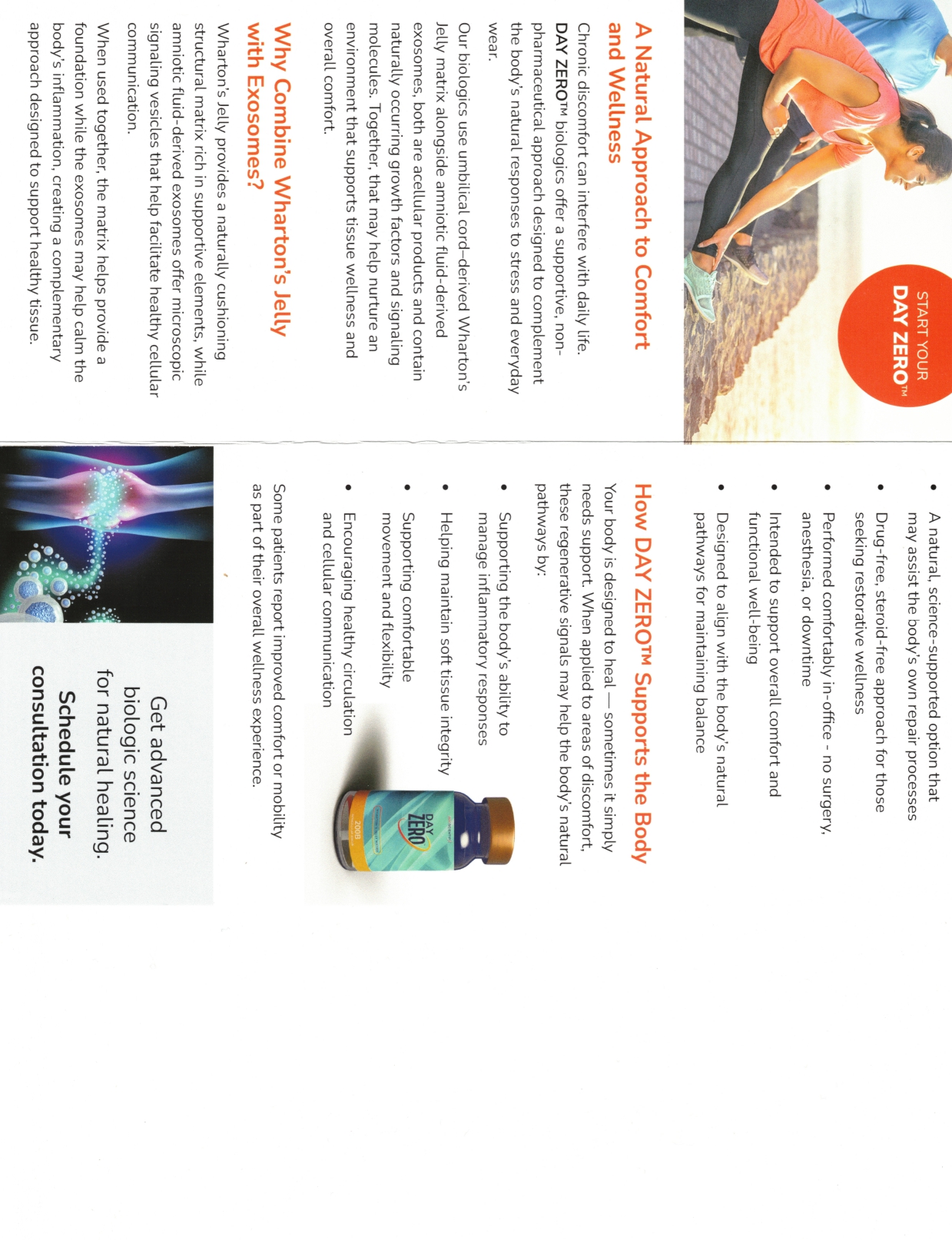 Wharton's Jelly Brochure Inside