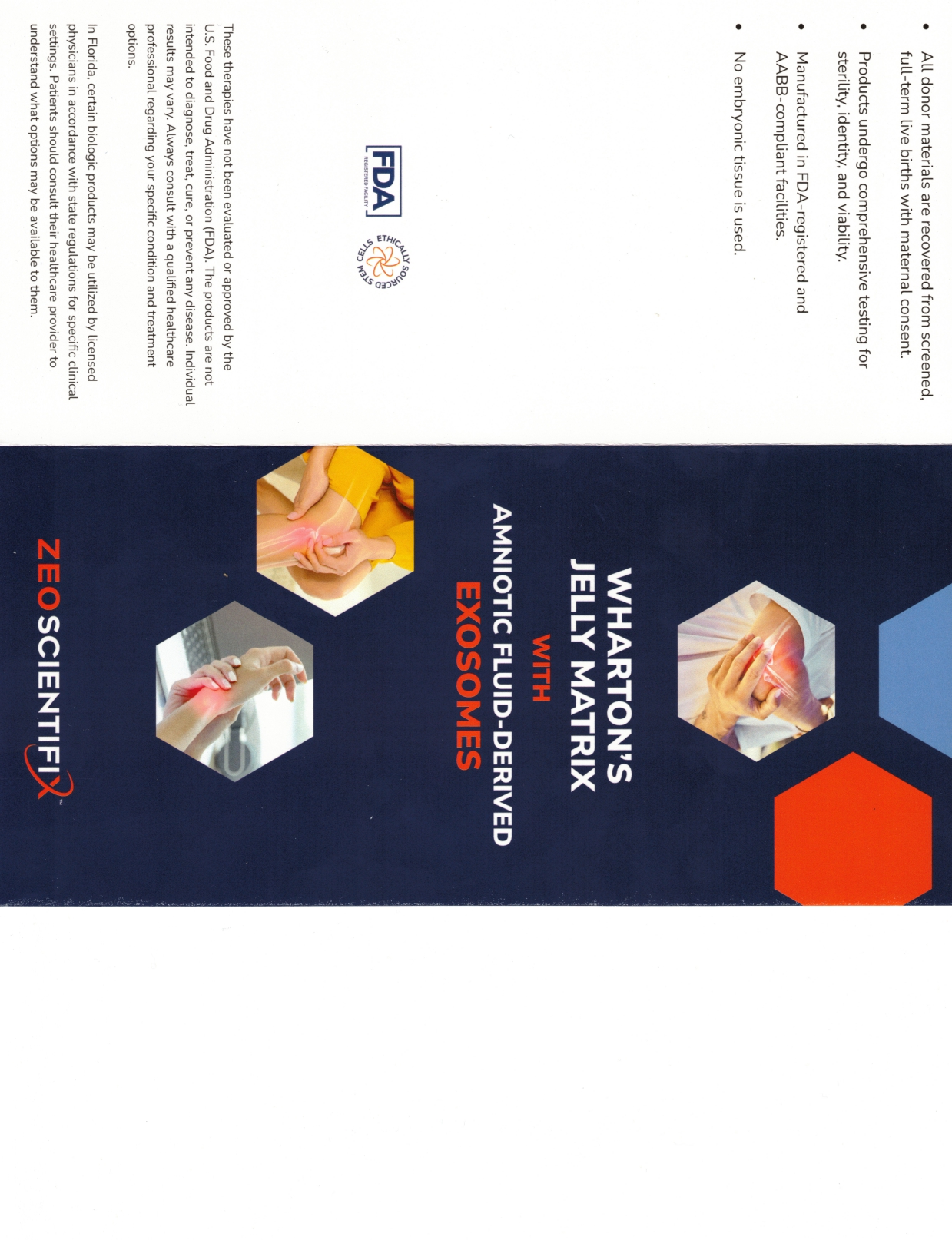Wharton's Jelly Brochure Outside